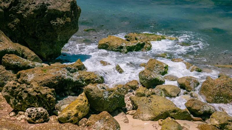 Abalone Cove Reserve and Photography Rules