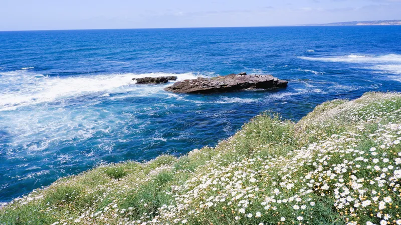 Breathtaking view of La Jolla Cove's rugged coastline with wildflowers.
