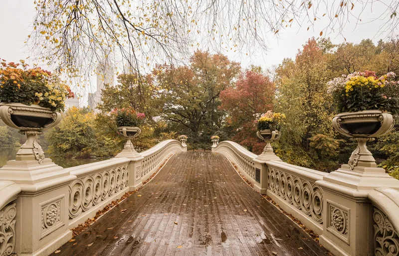 Scenic view of Bow Bridge amidst colorful autumn foliage in Central Park, New York City.