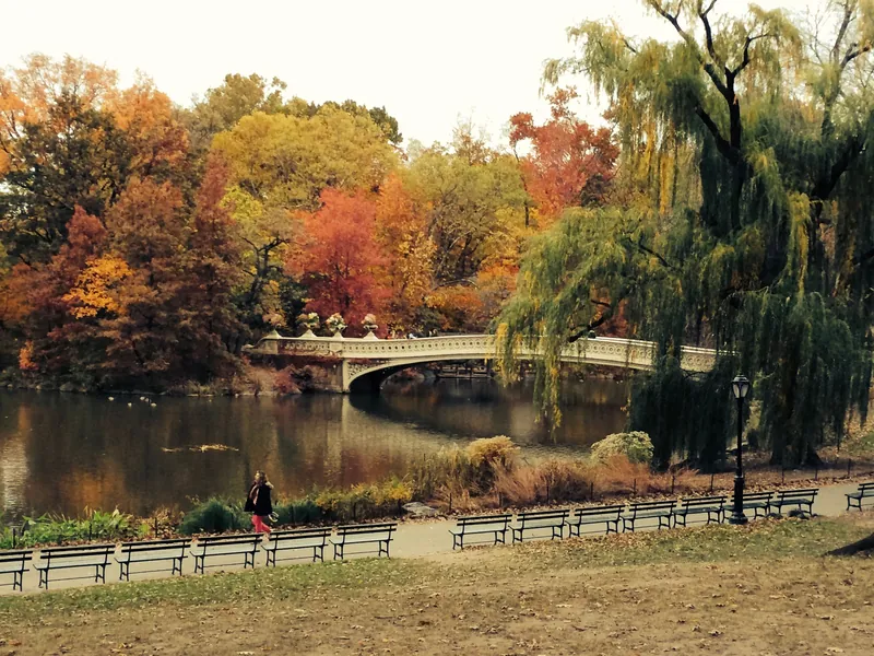 Beautiful fall colors and Bow Bridge in Central Park, New York City, during autumn.