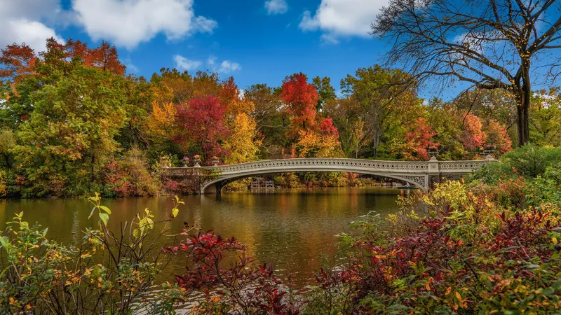 Bow Bridge Design and History