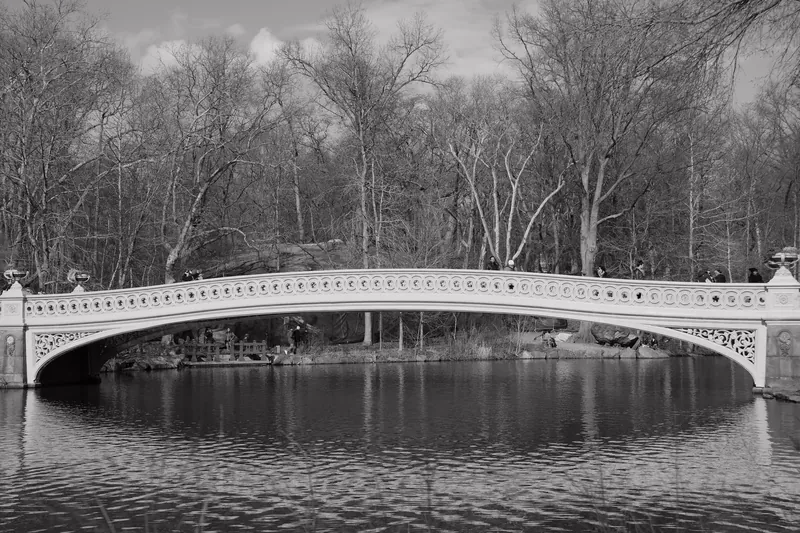 The Bow Bridge in Central Park was built 1859 to 1862 and designed by Calvert Vaux and Jacob Wrey Mould. It spans the Lake and links Cherry Hill and the Ramble. It is one of the oldest wrought iron bridges in the US.