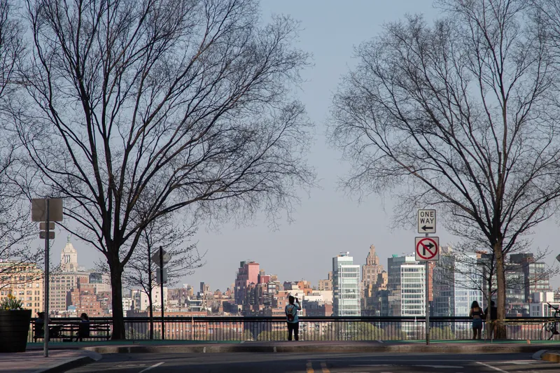 Scenic view of New York City skyline from Brooklyn Heights Promenade with bare trees in foreground.