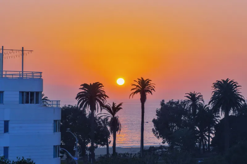 A beautiful sunset over Santa Monica beach with silhouetted palm trees and a vivid orange sky.