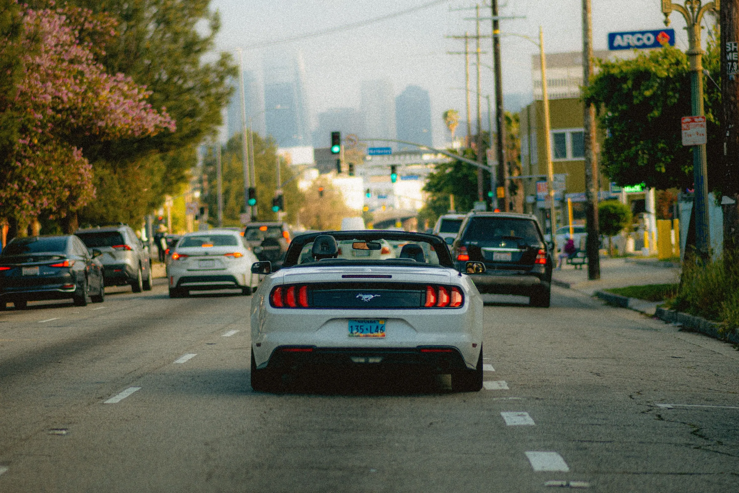 Canon Drive