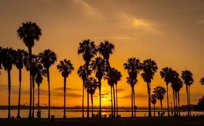 Golden hour sunset with palm trees silhouetted against an orange sky in San Diego bay area.
