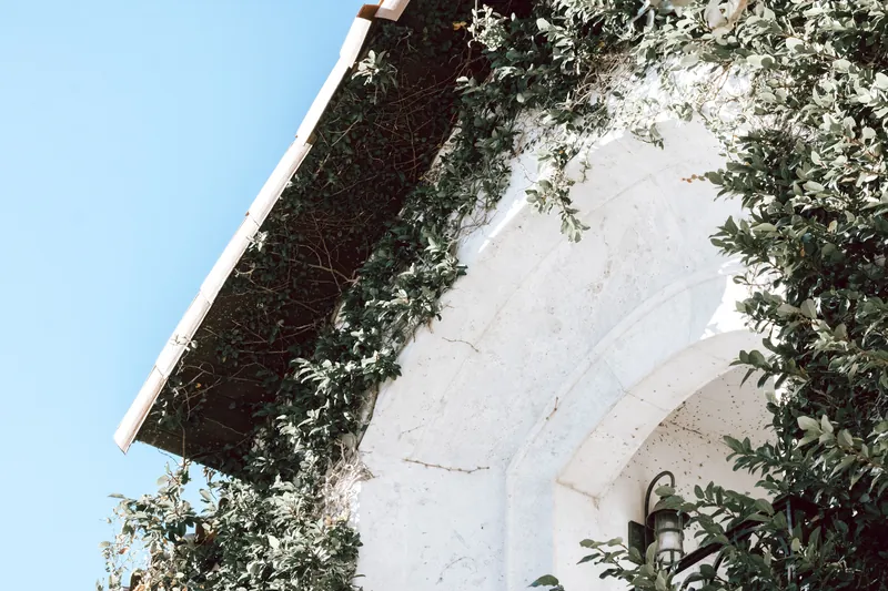 Low angle view of a building facade with ivy under a clear blue sky, capturing a serene outdoor ambiance.