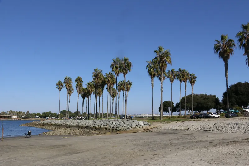 Sunny beach scene with palm trees in San Diego, perfect for a vacation vibe.