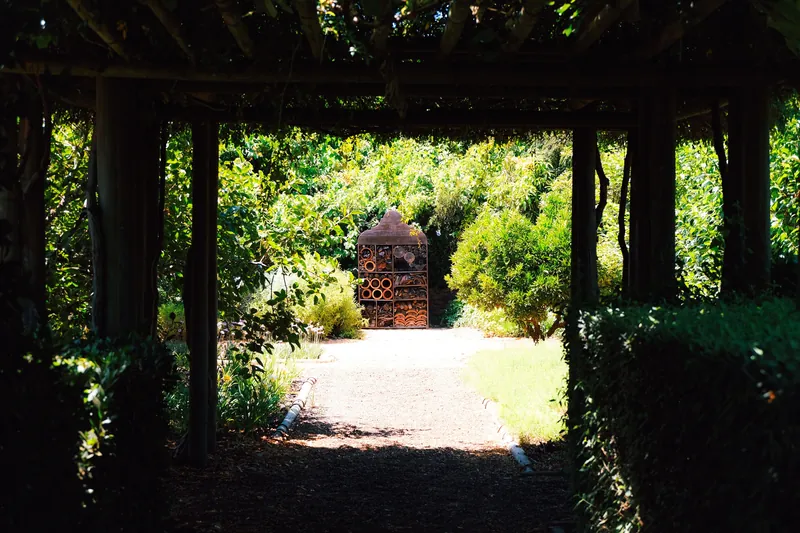 A sunlit garden pathway leading to a wooden structure among lush greenery.