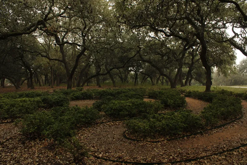 Serene garden with winding paths through lush greenery and towering oak trees.