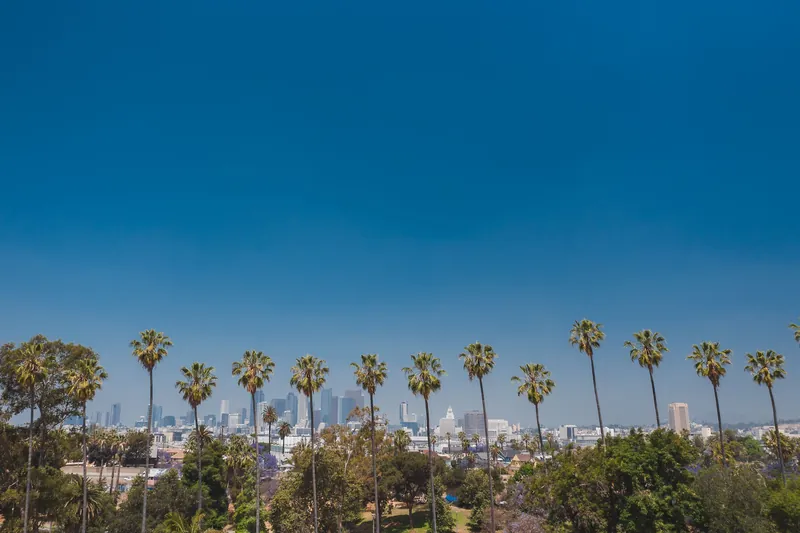 Avenue of the Palms