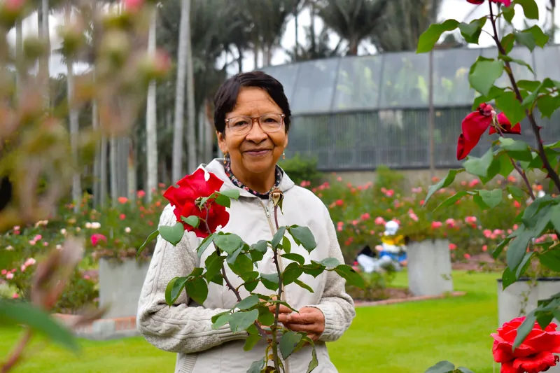 Elderly woman enjoying a beautiful day in a vibrant rose garden in Bogotá, Colombia.