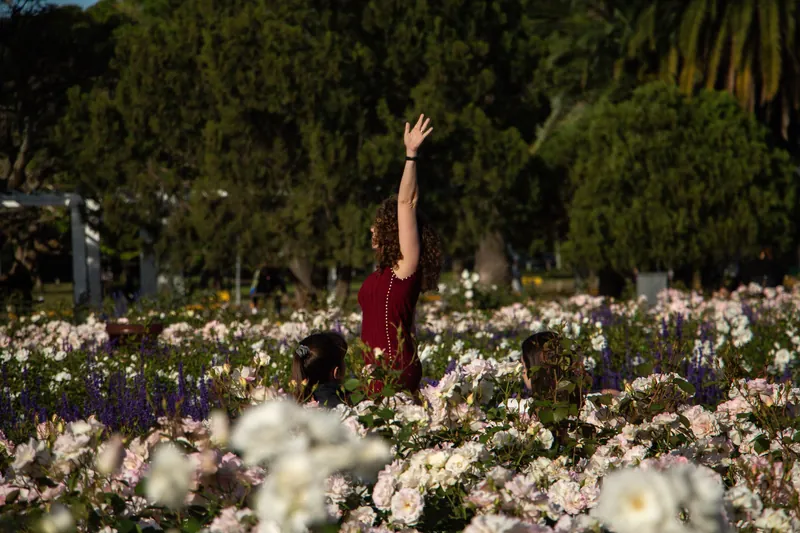 History of Exposition Park Rose Garden