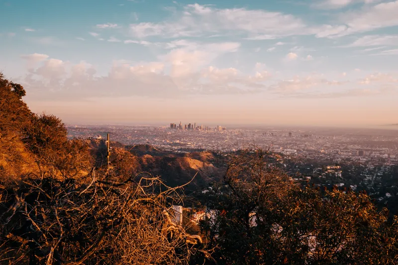 A scenic aerial shot of Los Angeles skyline framed by fall foliage under a soft morning sky.