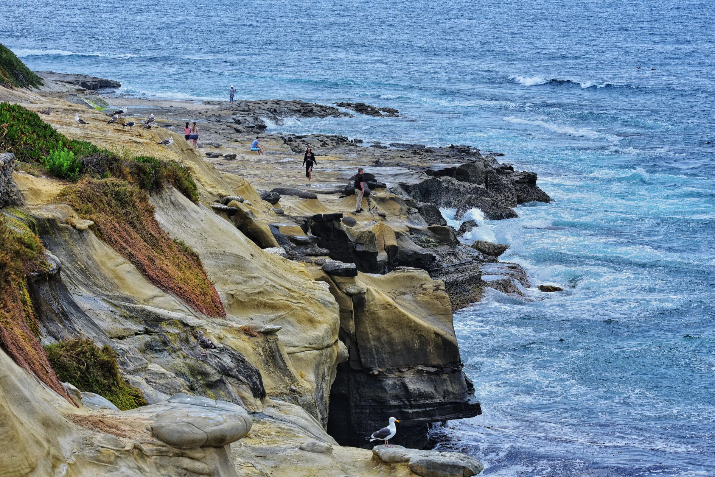 La Jolla Cove