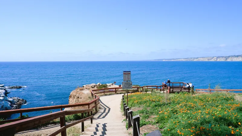 Picturesque view of La Jolla Cove with vibrant flowers and ocean in San Diego, California.