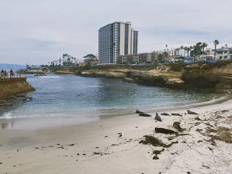 La Jolla Shores Beach and Surf Features