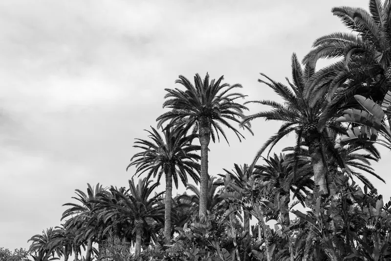 Arboretum's Vintage Photo Subjects