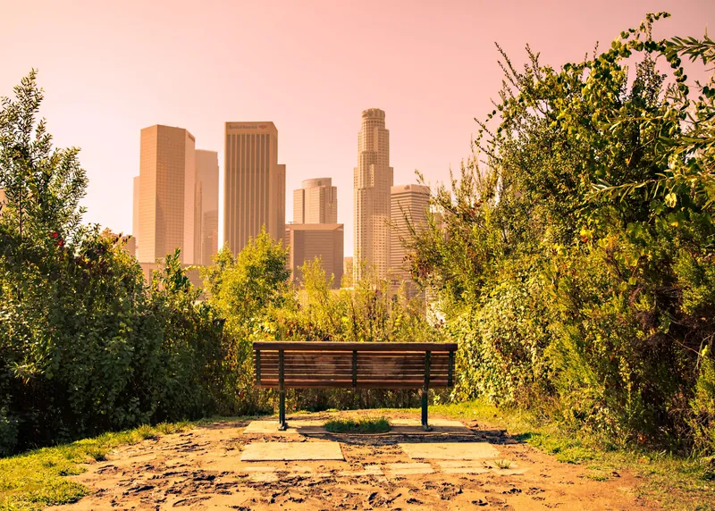 Capturing the serene view of Los Angeles skyline at sunset from a peaceful park setting.