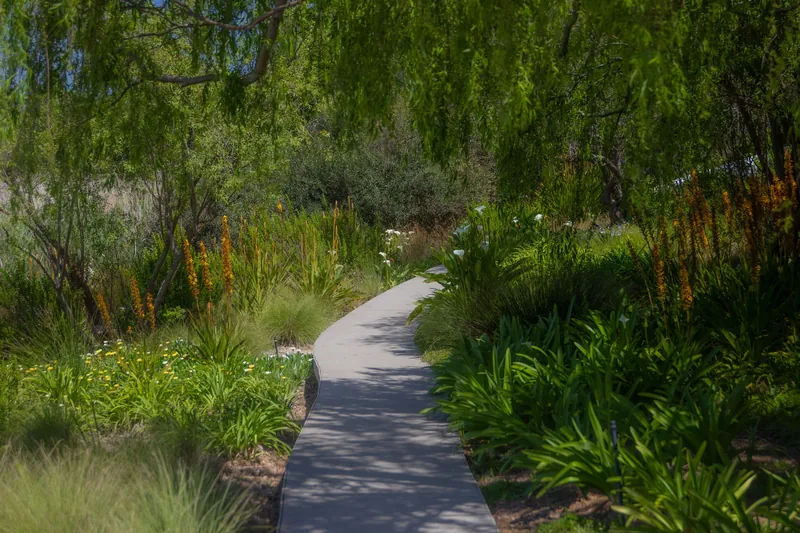 Tranquil garden path meandering through lush green foliage and blooming flowers under clear skies.