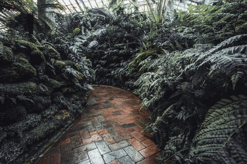 Tropical Green House