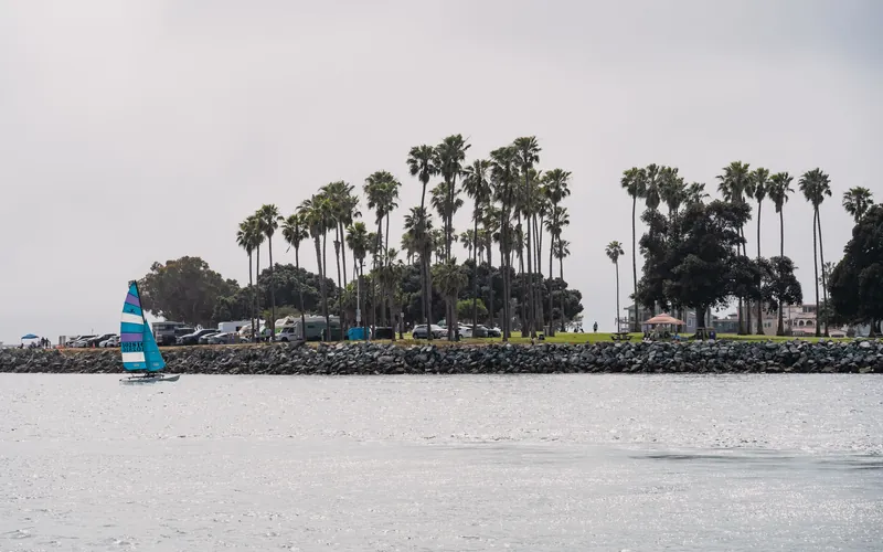 Scenic view of a sailboat gliding by palm trees along the San Diego Bay coastline.