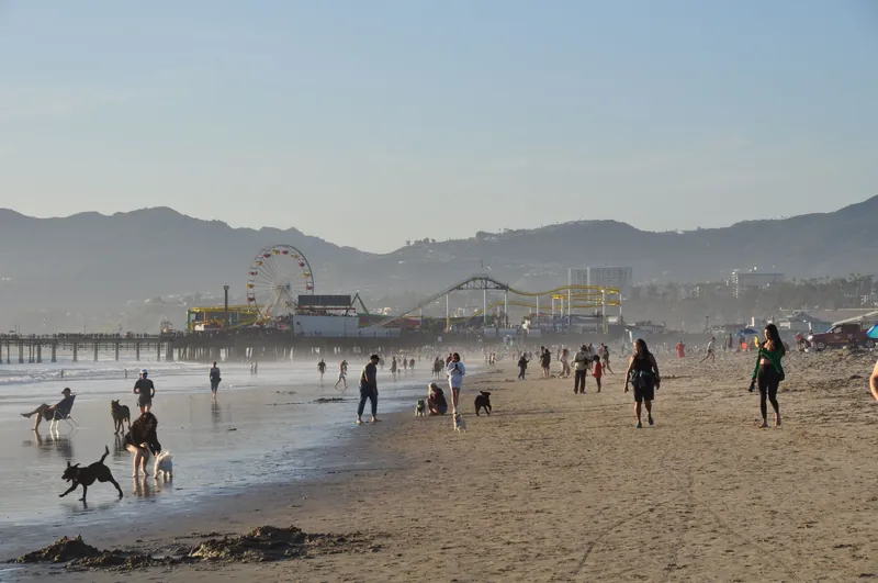 People and dogs enjoying a day at Santa Monica Beach with the iconic pier in the background.