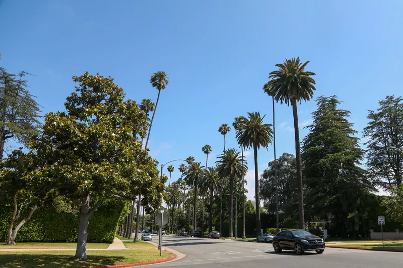 Photographing the Beverly Hills Hotel