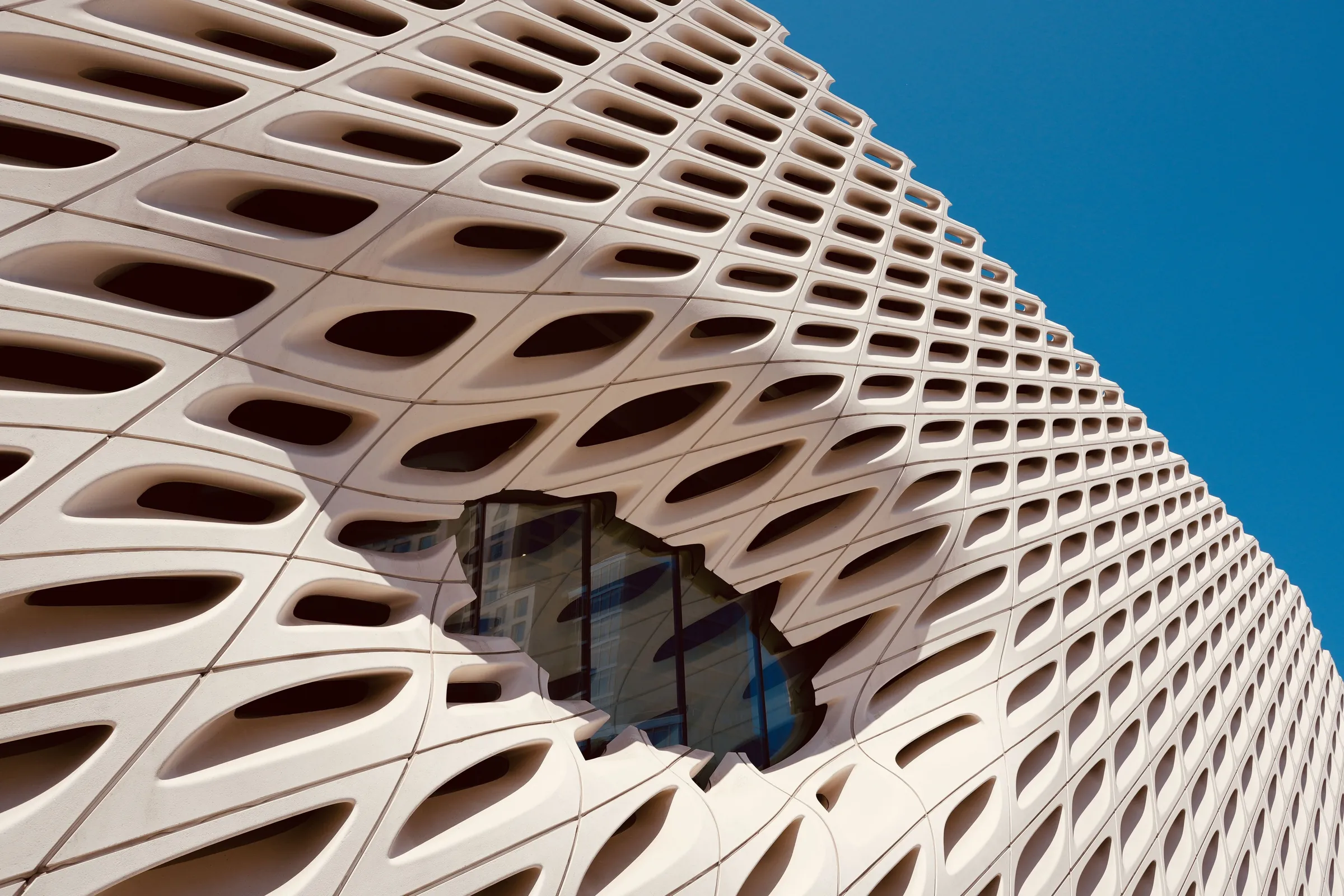 The Broad