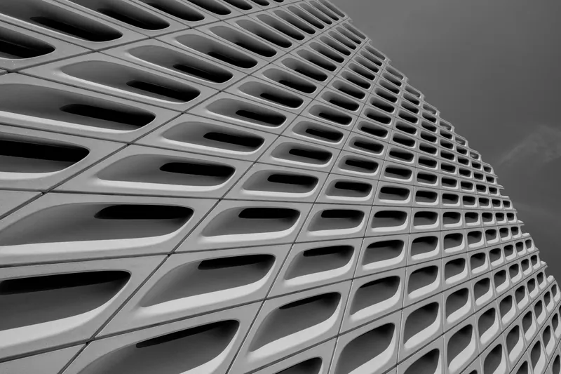 The Broad's Veil and Vault Architecture