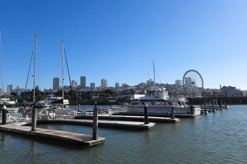 Panoramic view of San Francisco marina featuring skyline and ferris wheel on a sunny day.