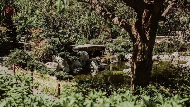 Balboa Park Lily Pond History