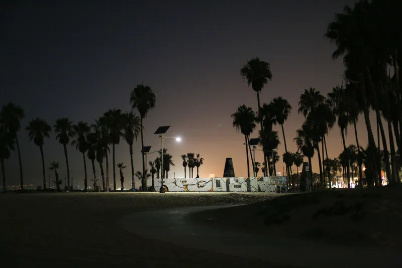 Dusk at a beach with silhouetted palm trees and a graffiti-covered wall, creating a serene yet urban vibe.
