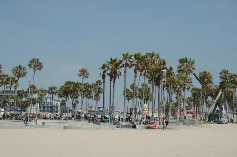 People enjoying a sunny day at Venice Beach Skate Park with palm trees and clear skies.