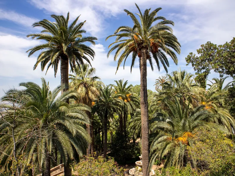 Virginia Robinson Estate Gardens and Loggia