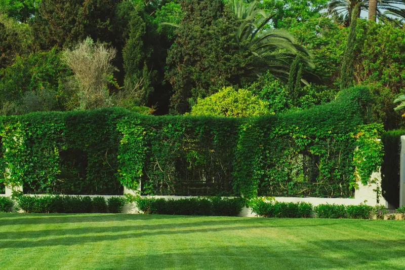 Vibrant garden scene featuring dense greenery and a perfectly maintained lawn.