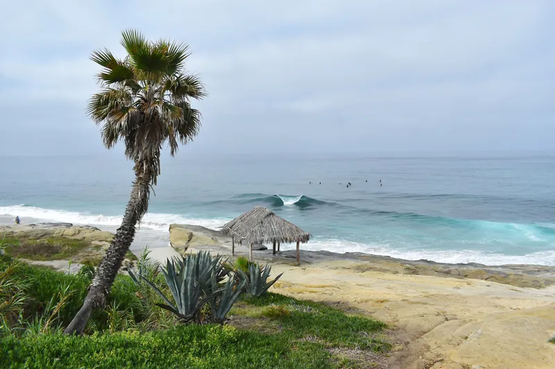 Scenic view of a tropical beach with a palm tree, ocean waves, and a thatched umbrella.